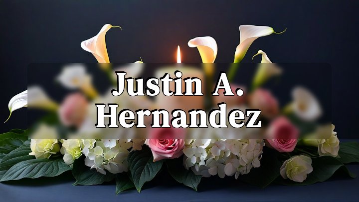 Justin A. Hernandez, Victoria, TX